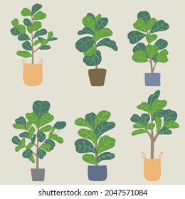 Doodle freehand sketch drawing of fiddle leaf fig tree collection. Vector illustration.