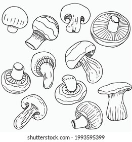 Doodle Föhn und Skizze Zeichnung von Pilzgemüse. Gesunde Ernährung und Lebensweise.