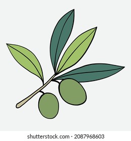 doodle freehand sketch drawing of olive fruit. healthy diet lifestyle concept.