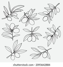 doodle freehand sketch drawing of olive fruit collection. healthy diet lifestyle concept.