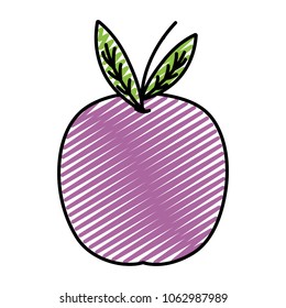 doodle fresh delicious grape fruit nutrition