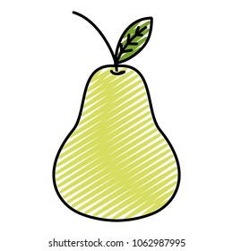 doodle fresh delicious pear fruit nutrition