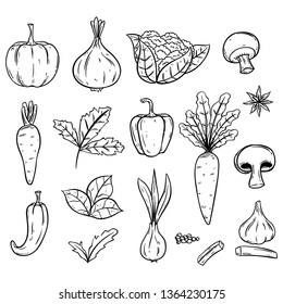 Doodle fresh vegetables illustration organic food