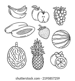 doodle fruit hand drawn illustration