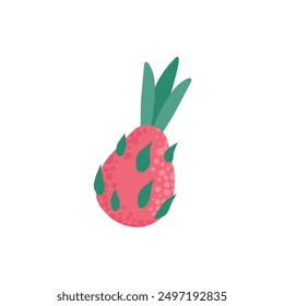 Doodle fruit. Natural tropical dragon fruit, vitamin healthy. Vegan kitchen hand drawn, organic fruit or vegetarian food. Vector isolated icon illustration on white background