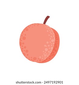 Doodle fruit. Natural tropical peach fruit, doodle vitamin food. Vegan kitchen hand drawn, organic fruits or vegetarian food. Vector isolated icon illustration on white background