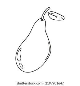 Doodle fruit pear isolated on a white background. Hand drawn, simple outline illustration. It can be used for decoration of textile, paper.