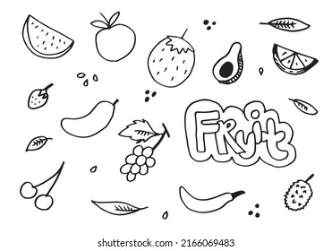 Doodle fruit set. hand drawing of fruits in different styles.