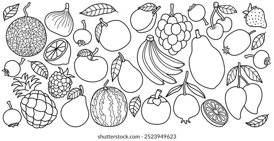 Conjunto de frutas Doodle. Vector de frutas en estilo sketch.