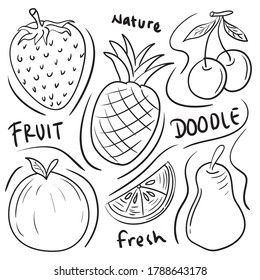 Doodle Fruit Vector Illustration. trendy with hand drawn Sketch style 