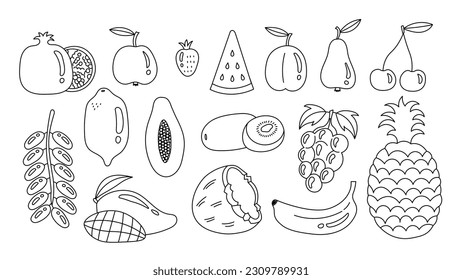 Doodle fruits big set. Hand drawn fruit sketch clipart. Line art nature elements collection. Vector illustration