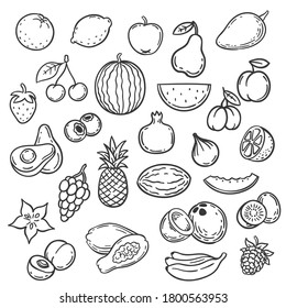 Doodle fruits. Hand drawn outline berry apricot, banana and pear, cherry. Apple, strawberry and grape, lime organic food sketch vector set. Tropical and garden summer fruits with vitamins