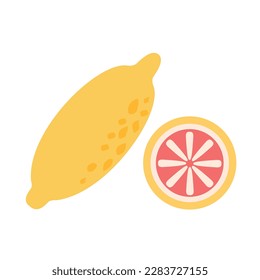 Doodle fruits. Natural tropical fruit, lemon doodles, organic fruits or vegetarian food. Vector isolated icons illustration set