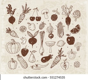 Doodle fruits and vegetables on vintage background. Vector sketch illustration of healthy food.