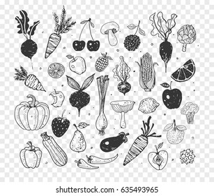 Doodle fruits and vegetables. Vector sketch illustration of healthy food.