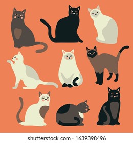 Doodle funny cute hand drawn cat and kitten isolated on orange background. Vector illustration.