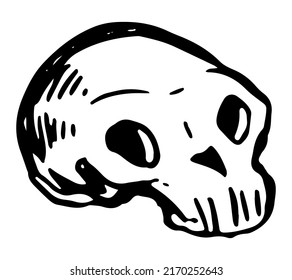 Doodle of funny human skull. Halloween hand drawn vector illustration. Retro outline clipart for spooky decor isolated on white.