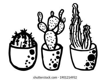 doodle funny illustration of three potted cacti isolated on a white vector. An idea for the design of social networks, postcards, menus, labels,