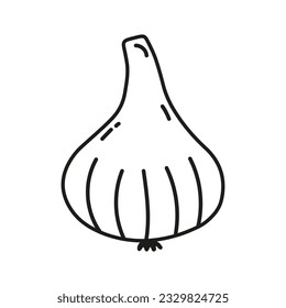 Doodle garlic vector icon on white background