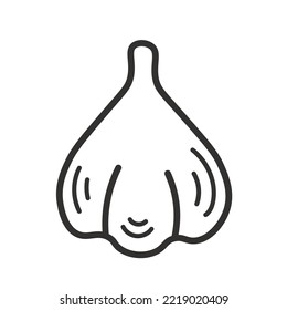 Doodle garlic vector illustration. Garlic simple line art, symbol, icon, emblem, ingredient art