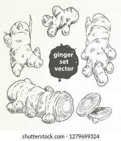 doodle ginger isolated set vetor