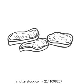 Doodle Ginger slices. Isolated vector of Ginger drawing. Hand drawn illustration. Line art
