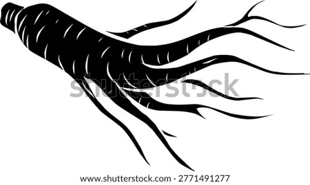 Doodle Ginseng. Handdrawn Root Illustration. 