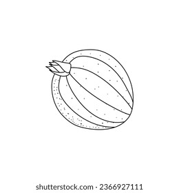 Doodle gooseberrys icon.  gooseberry hand drawn picture in cartoon style isotated on white background
