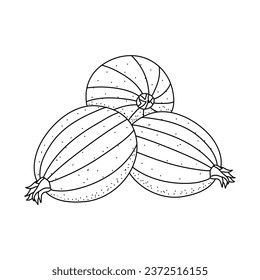 Doodle gooseberrys icon.  gooseberry hand drawn picture in cartoon style isotated on white background