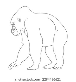 Doodle de Gorila. Ilustración vectorial dibujada a mano.