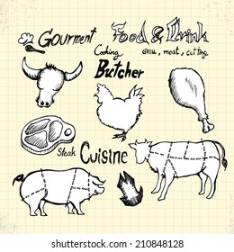 Doodle Gourment and Meat on Paper, Vector Drawing