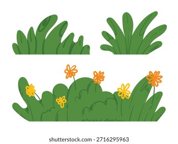 Doodle arbusto de hierba, arbustos durante la floración