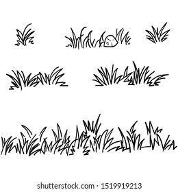 doodle grass illustration collection handdrawn style