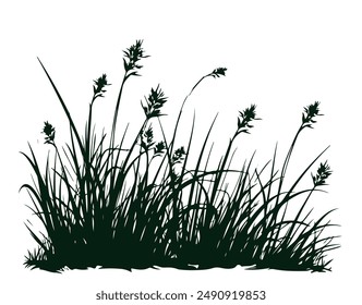 Doodle Grass Illustration Handgezeichneter Stil