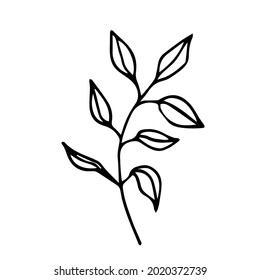 El doodle de fondo blanco está aislado. La hierba se puede usar para logos, decoración en la svalba, huellas en la ropa