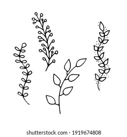 Doodle grass, plant. Border Edging. Freehand drawing. Black and white outline. Decor for postcards. Vector illustration