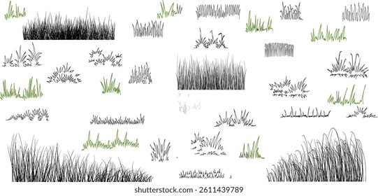 Doodle grass. Sketch natural field grass. Outline hand drawn wild grassy plants.