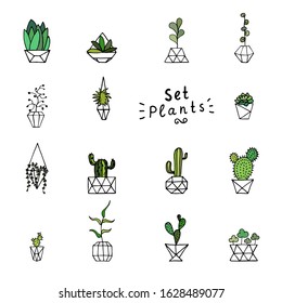 Doodle green plants. Hand-drawn leaves, succulents and cactus with poly faceted flower pot. Outline home plants isolated on a white background. Cute illustration polygonal element for the interior