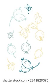 Doodle grunge print with gooseberry berries.  Perfect for tee, sticker, postcard, poster. Free hand isolated vector illustration.
