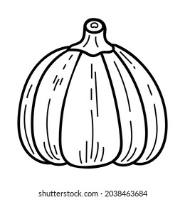 Doodle Halloween Kürbis. Vektorherbstelement. Line gezeichnetes Horror-Feiertagssymbol. Gemüse mit schwarzem Umriss. vegetarische Zutaten aus landwirtschaftlichen Betrieben.
