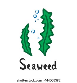 Doodle hand draw of seaweed and bubble vector cartoon illustration.