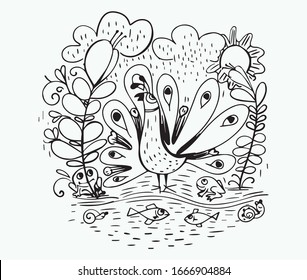 Doodle hand drawing cartoon peacock and rain,Doodle style , line drawing