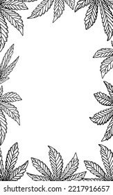 Doodle hand drawing monochrome leaves Cannabis frame black and white background  