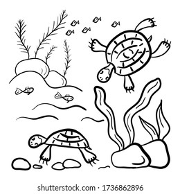 Doodle hand drawing pattern. Marine life. Water turtles fish, algae. Monochrome. Simple flat motif . Vector illustration