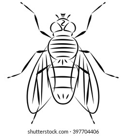 Doodle hand drawn abstract fly