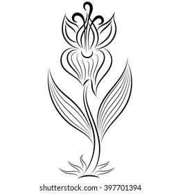 Doodle hand drawn abstract gladiolus