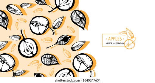 Doodle hand drawn apples. Hand drawn sketch of apples with place for text illustration. Vector illustration of apples in doodle style. 