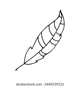 Doodle hand drawn bird feather. Abstract vector minimalistic sketch on white background for design, cards and invitations