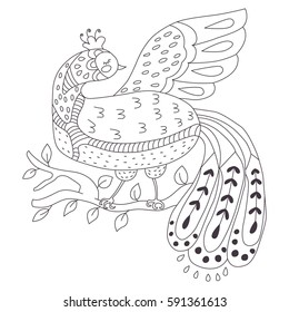 Doodle hand drawn bird vector illustration for coloring book