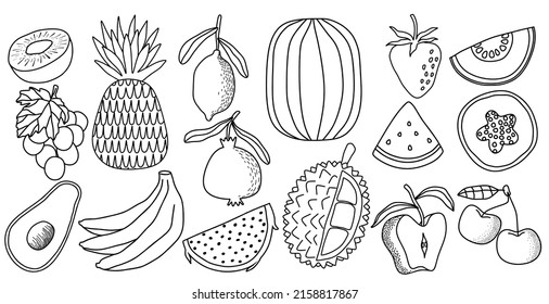 doodle hand drawn collection of fruits. vector illustration